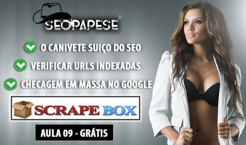 Aula 09 de ScrapeBox - Curso SEOPAPESE